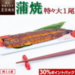 <span class="title">【楽天市場】うなぎ蒲焼が30%ポイントバック！贅沢グルメ</span>