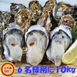 <span class="title">【30%ポイントバック！】宮城県産殻付き牡蠣10kg！驚きの価格でBBQを満喫！</span>