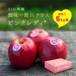 <span class="title">【訳あり50%OFF！】幻のりんごピンクレディ5キロ箱！産地直送</span>